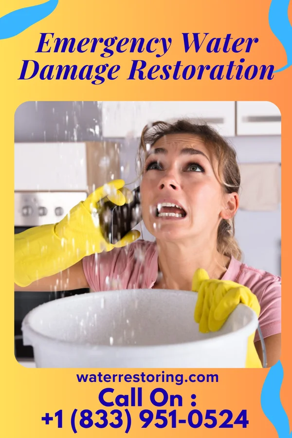 Emergency Water Damage Restoration in Baileyton, AL
